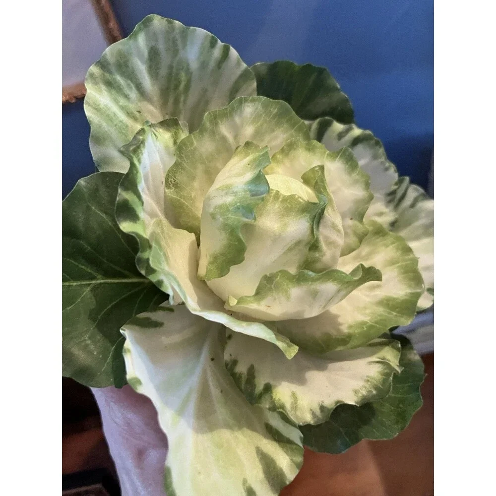 Realistic Potted Cabbage Plastic Ceramic Pot Garden Spring Easter 7inch Green